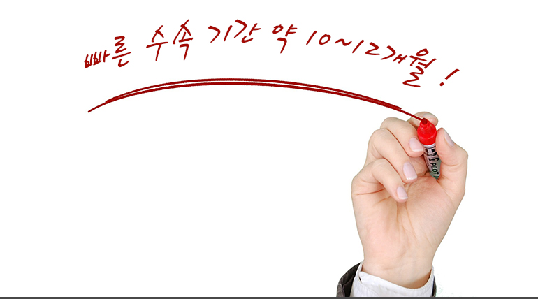 투자이민 자금 비율